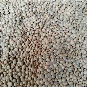 عدس ریز زودپز یک کیلوگرمی
