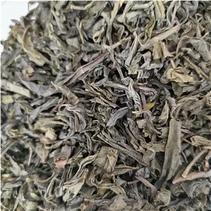 چای سبز ایرانی نیم کیلو