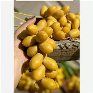 رطب خارک عسلی و ترد برحی خوزستان درجه 1 (3کیلویی)