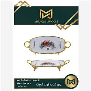 دیس کباب خوری کوچک میراکل لمونژ کد174