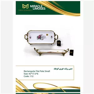دیس چینی سایز کوچک کد112 میراکل لمونژ