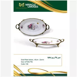 دیس برنج چینی 45 ایتالیا کد 158 میراکل لمونژ
