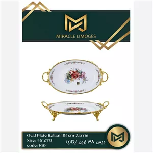 دیس چینی 38 ایتالیا کد 160 میراکل لمونژ