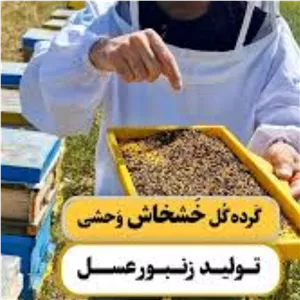 گرده گل خشخاش وحشی یک کیلویی خالص الک شده ارسال رایگان درجه کیفی گرید+++A تقویت جنسی و قوای بدن،درمان ضعف شدیدوکم خونی