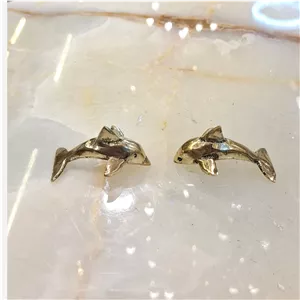 بچه دلفین کوچیک 903353