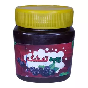 پوره تمشک غدیر (480 گرم)