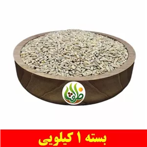 جو ترش ( جو سبز ) اعلا ظرافت 1 کیلویی