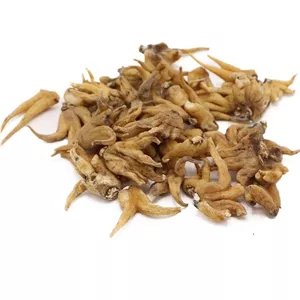 ثعلب  پنجه ای (10 گرم)