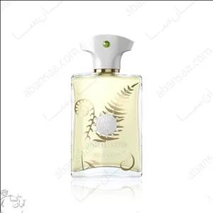 عطر و ادکلن *آمواج براکن* گرمی 35000