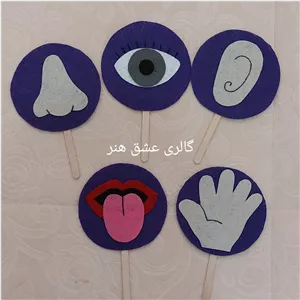 آموزش اعضای بدن(اندام های حسی)