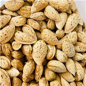 بادام کاغذی تازه مغز درشت شیرین وخوش طعم از باغ های آذربایجان محصول امسال در بسته بندی 1000 گرمی 