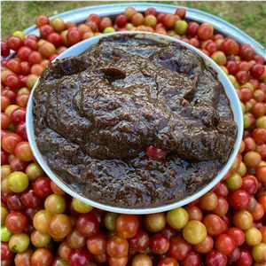 رب آلوچه ملس جنگلی ارگانیک شمال 450 گرمی