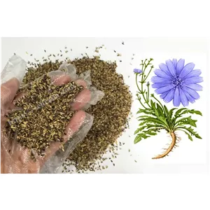 تخم کاسنی 100 گرم 