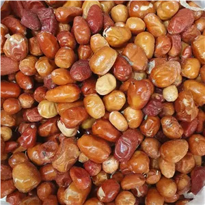 سنجد - 250 گرم