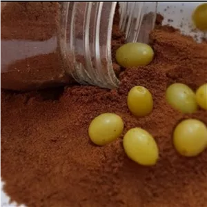 پودر غوره خالص باکیفیت50گرمی