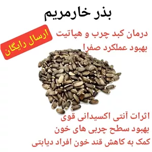 دانه خارمریم تخم خار مریم بذر خارمریم 1 کیلوگرم