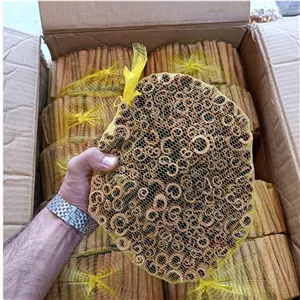 چوب دارچین سیگاری بار هندی 