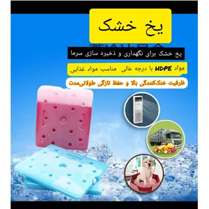 یخ مصنوعی یخ 10ساعته 290 گرمی ( جلوگیری از سودا و تغییر مزه ها) یخ خشک