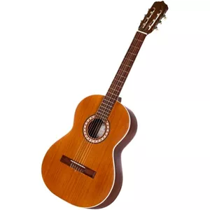 گیتار پارسی M5(پس کرایه)