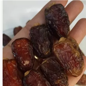 خرما بریم درجه 1 برداشت 1405