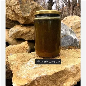 شهدعسل وحشی سیاه صخره (عسل و سوغاتی حاج عبدالله بذری)