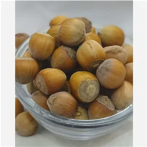 فندق خام املش، اشکورات پک ویژه 3کیلویی (درشت پر مغز)