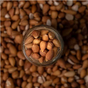 بادام کوهی (اَلوک) شهرستان جم 