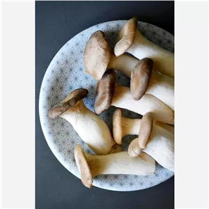 قارچ شاه صدف یا ارینجی تازه (2kg)