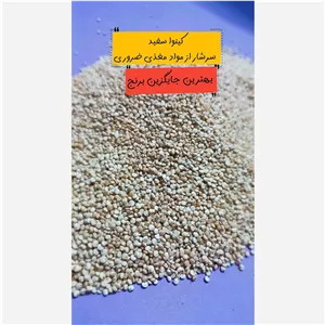کینوا سفید خارجی 100 گرمی