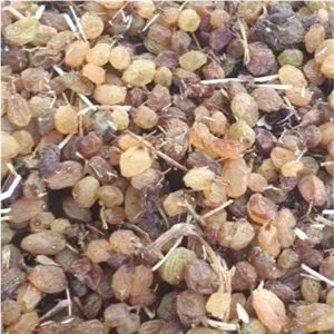 کشمش آبگیری ارسال رایگان