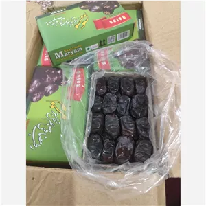 رطب خرمای مضافتی درجه یک تازه بم1405