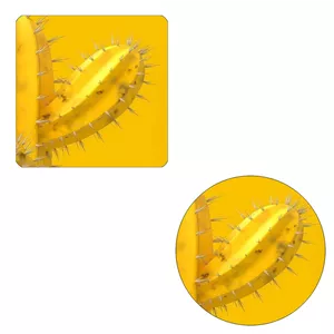 مگنت طرح کاکتوس کد M1 به همراه زیر لیوانیمدل 2