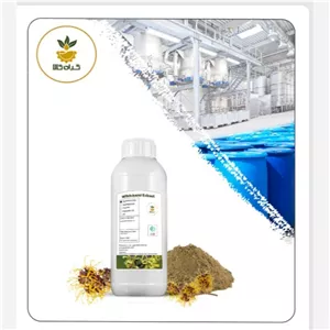 عصاره هاماملیس مایع کیفیت خالص 100 سی سی (هیدروگلیسیرنی )گرید ++A