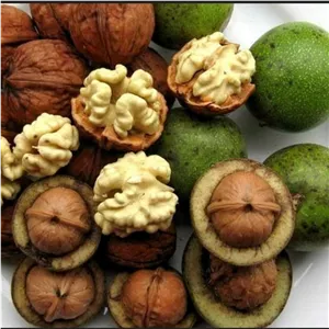 گردو تازه با پوست سبز 