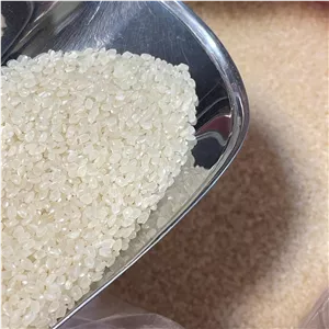 برنج سوشی درجه یک 500 گرم رستو کوردوبا