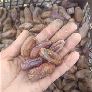 خرما شاهانی بسته بندی به صورت دانه وپرس شده به خواست مشتری 
