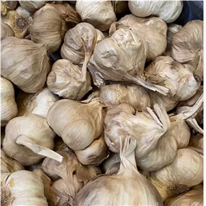 سیر سیاه فله اعلا ( نیم کیلویی)