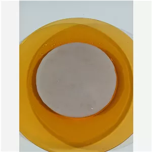  قارچ کامبوجا یک اسکوپ فعال و تازه 60 گرمی به همراه 280 میلی لیتر استارتر و آموزش رایگان 