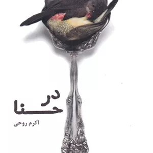 در حنا