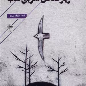 زیر صحن سربی شب