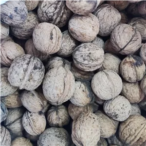 گردوی با پوست عجب شیر تازه و پر چرب (2 کیلو مانده)