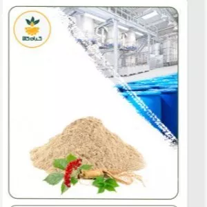 عصاره جینسینگ سفید خشک یا پودری صدردصد خالص 100گرم گرید A+