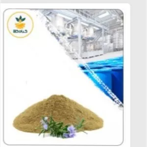 عصاره رزماری خشک یا پودری صدردصد خالص 100 گرم گرید A+