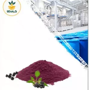 عصاره آقطی سیاه (الدربری) خشک یا پودری صدردصد خالص100 گرم گرید A+
