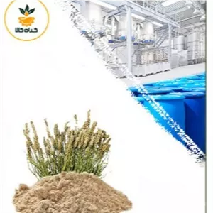عصاره اسفرزه خشک یا پودری صدردصد خالص 100 گرم گرید A+