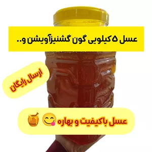 عسل بهاره مستقیم اززنبوردار برداشت 1405ارسال رایگان