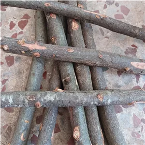 چوب بلوط جنگلی  2کیلویی 