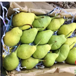 گلابی شاه میوه