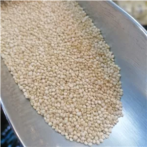 دانه کینوا سفید( تامین املاح معدنی بدن) وزن 200 گرم (پس کرایه)