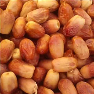 خرما زاهدی قصب ...خوش طعم ...از باغات جنوب کشور 